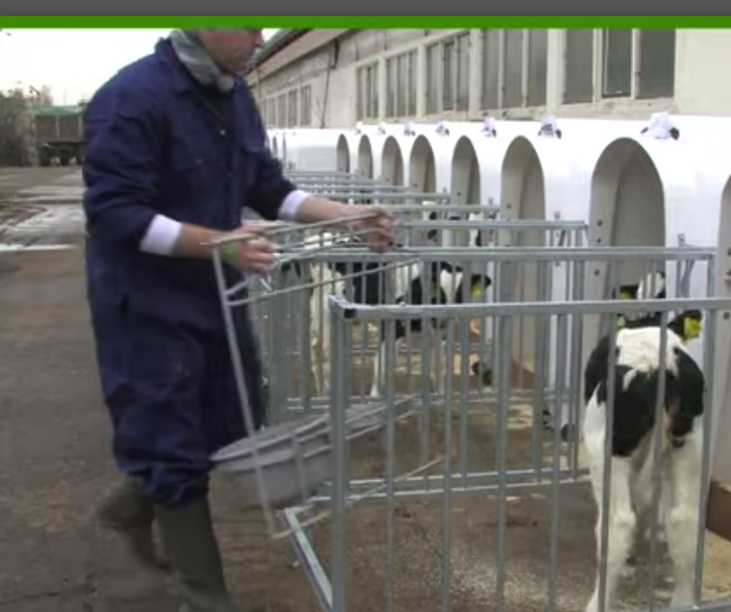 Ферма более семи лет с домиками vdk- Agri